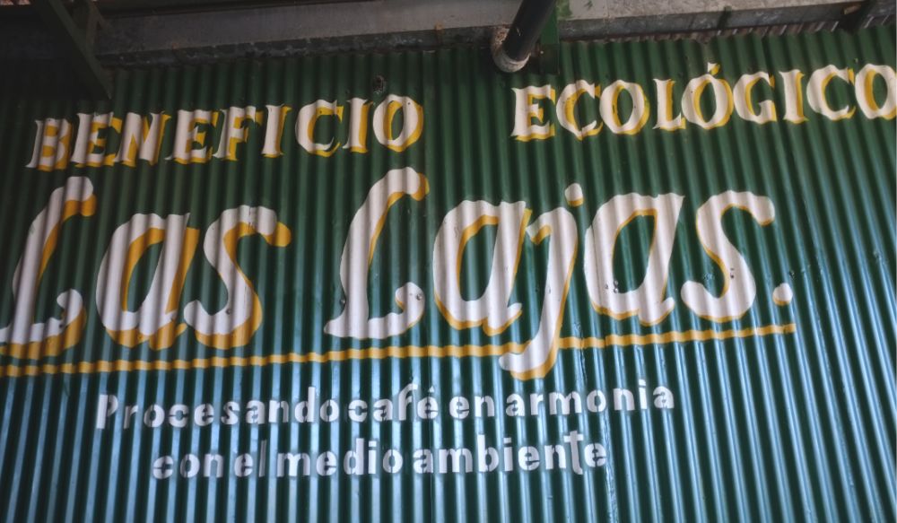 滤杯流速对比,hario和kono滤杯怎么选