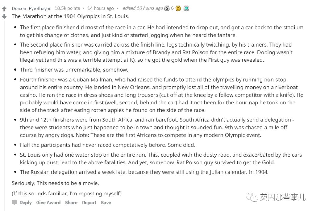 棕熊参军打仗，猫咪击败一支*队军**...真实的历史故事比小说脑洞更大