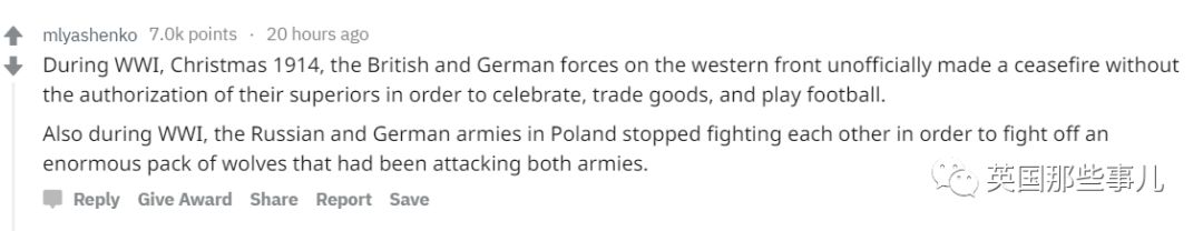 棕熊参军打仗，猫咪击败一支*队军**...真实的历史故事比小说脑洞更大