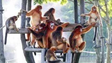 上海魔都景区,上海魔都必去景点免费