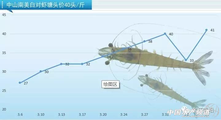 广东虾降价,今日江门虾价