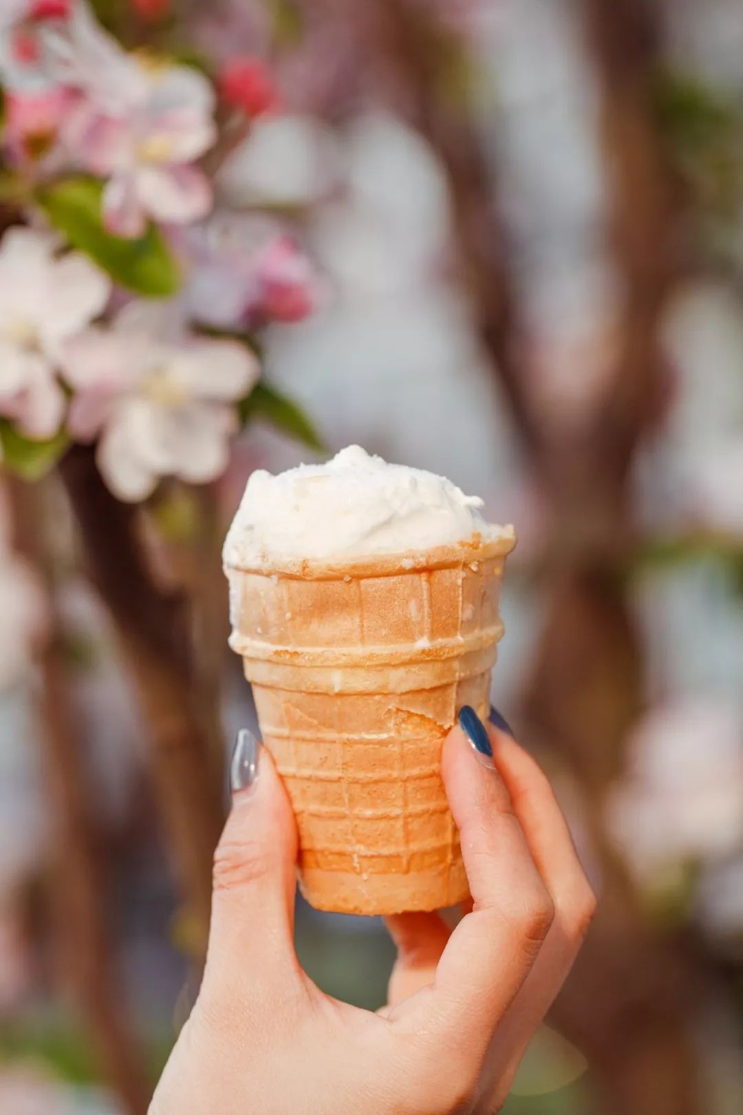 7.11便利店什么雪糕值得买,适合便利店的雪糕