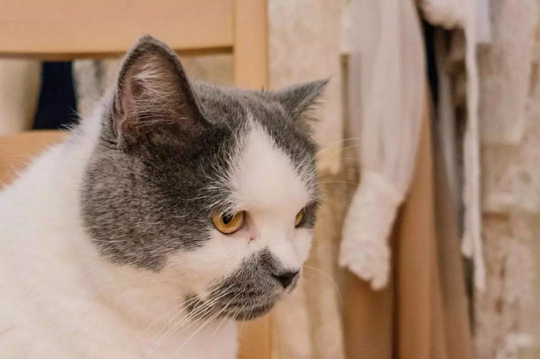 广州有趣杂货铺,广州杂货铺哪里最好