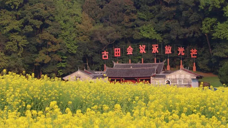 旅博会特色商品,旅博会开幕百余条特惠线路等你玩