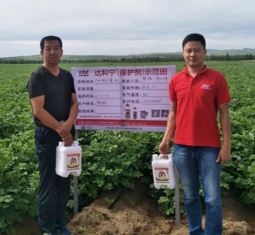 达科宁杀菌剂,达科宁百菌清杀菌剂