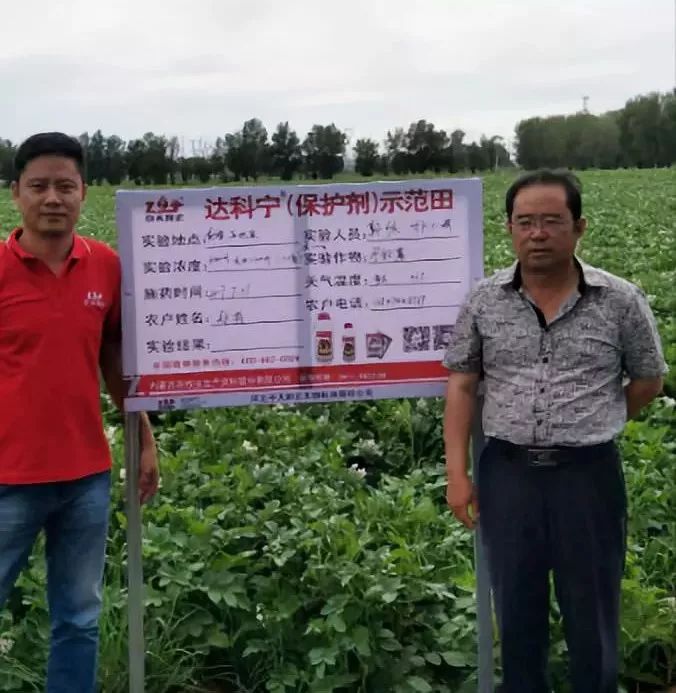 达科宁杀菌剂,达科宁百菌清杀菌剂