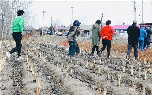 寻找5岁失踪女孩悬赏20万元仍有效,数百人搜救失联女童视频