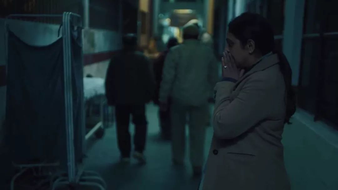 烂番茄98年度最佳动画,烂番茄新鲜度100%的电影有哪些