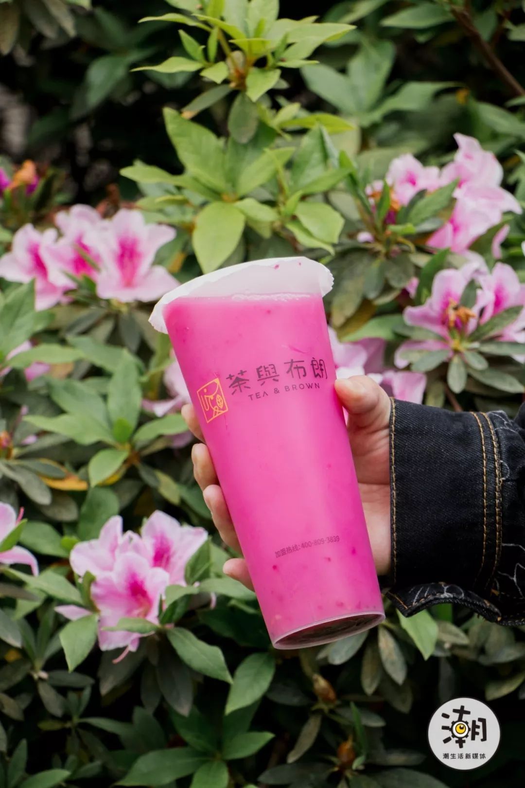 茶与布朗餐饮,茶与布朗加盟店