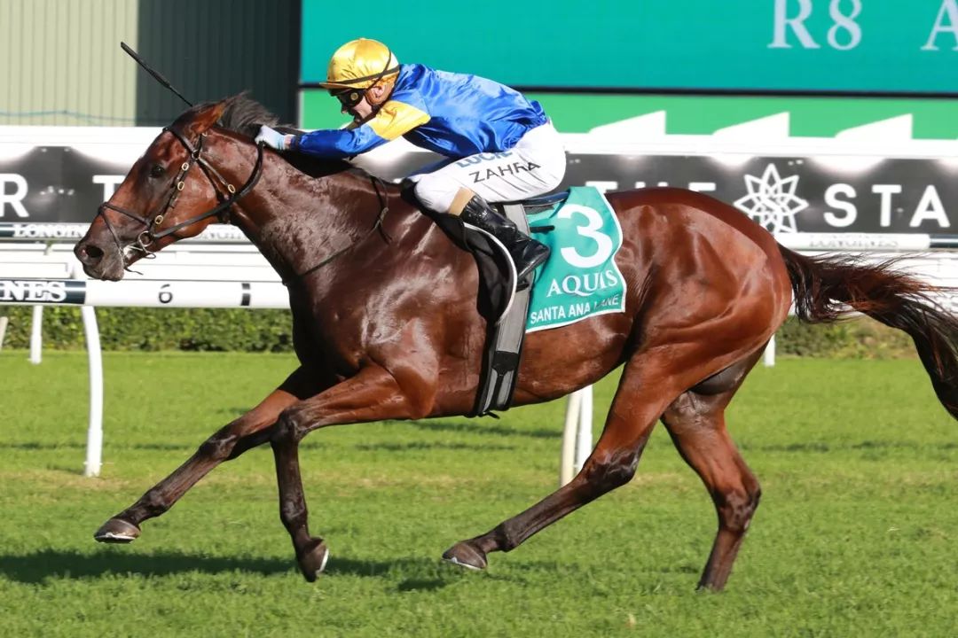 哪些世界级名驹有资格瓜分5800万港元总奖金？富卫保险冠军赛马日参赛马匹名单出炉！