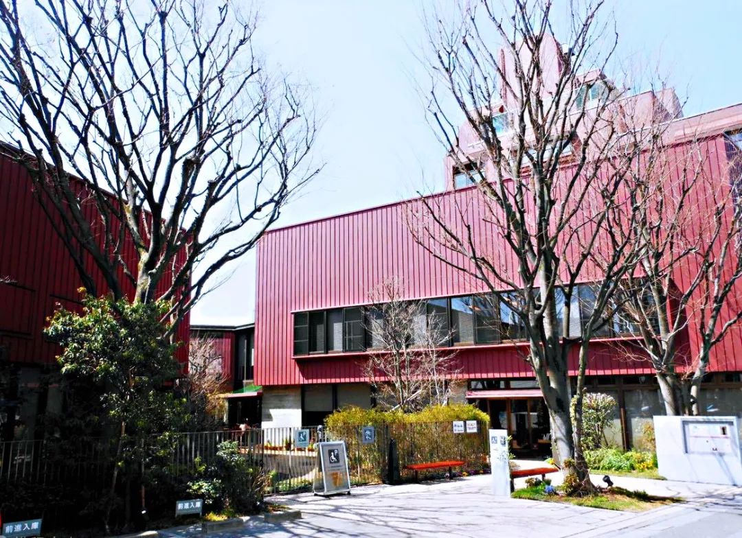 招募丨2019暑期精品小团，蒲蒲兰带你去见宫西达也！