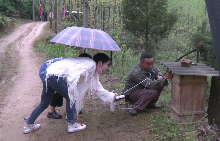 丹江口斗鱼,斗鱼之路丹江口