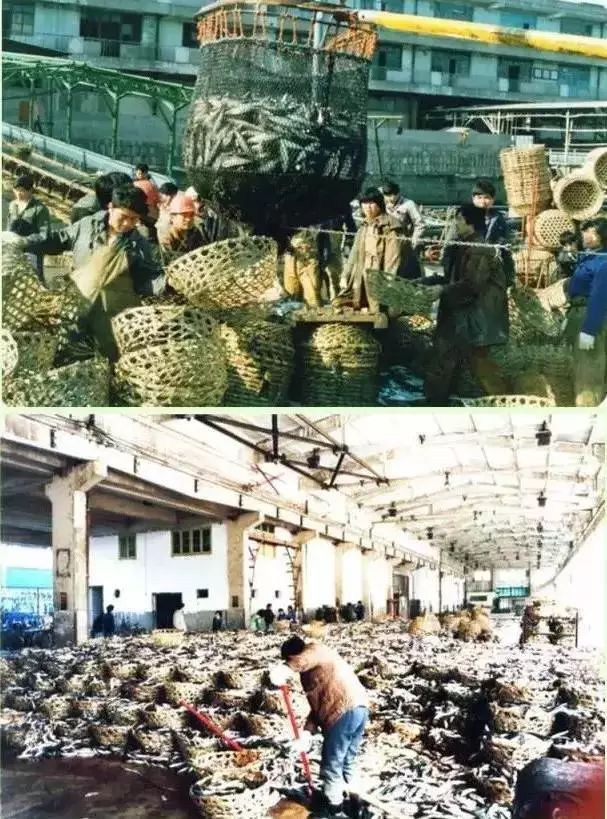 上海人吃老酒口头禅,上海人吃的鱼