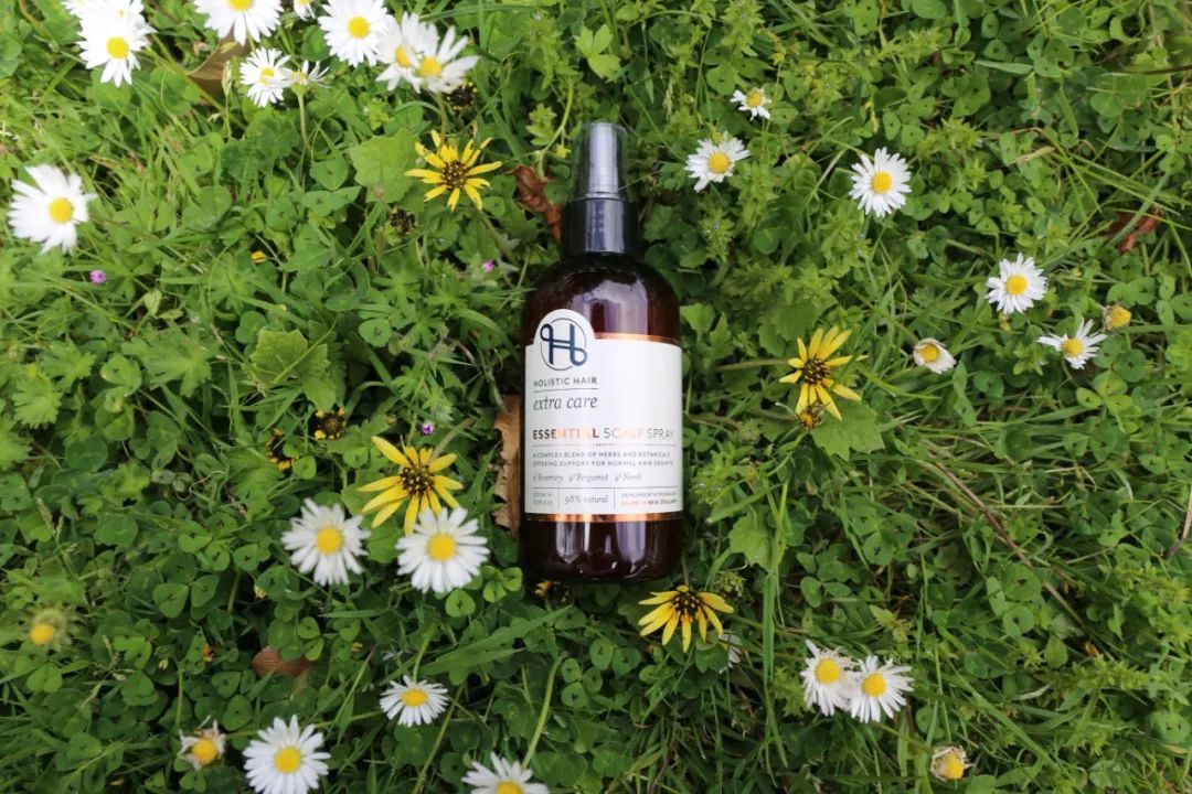 新西兰高端沙龙专用，2秒1喷，增发从“根”开始