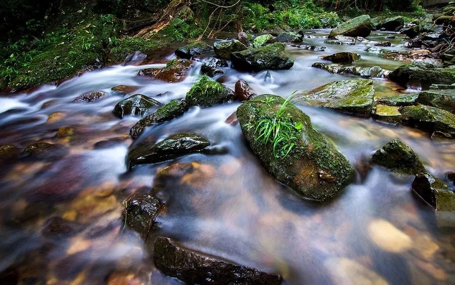 不可不听的音乐,不可不听的歌