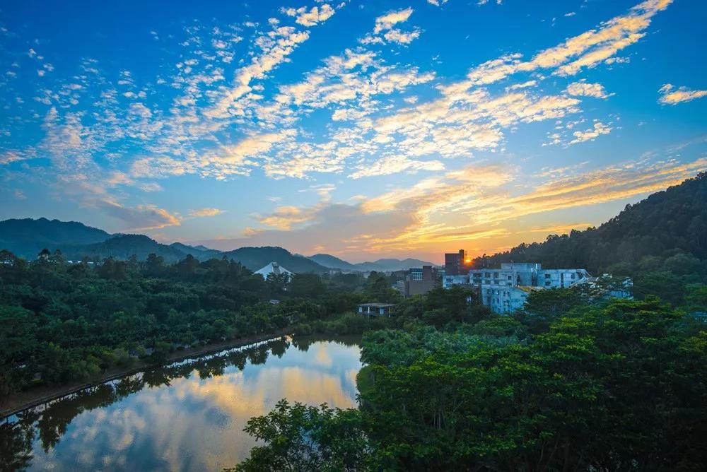 北师大珠海校区发展情况,北师大珠海校区和珠海分校的关系