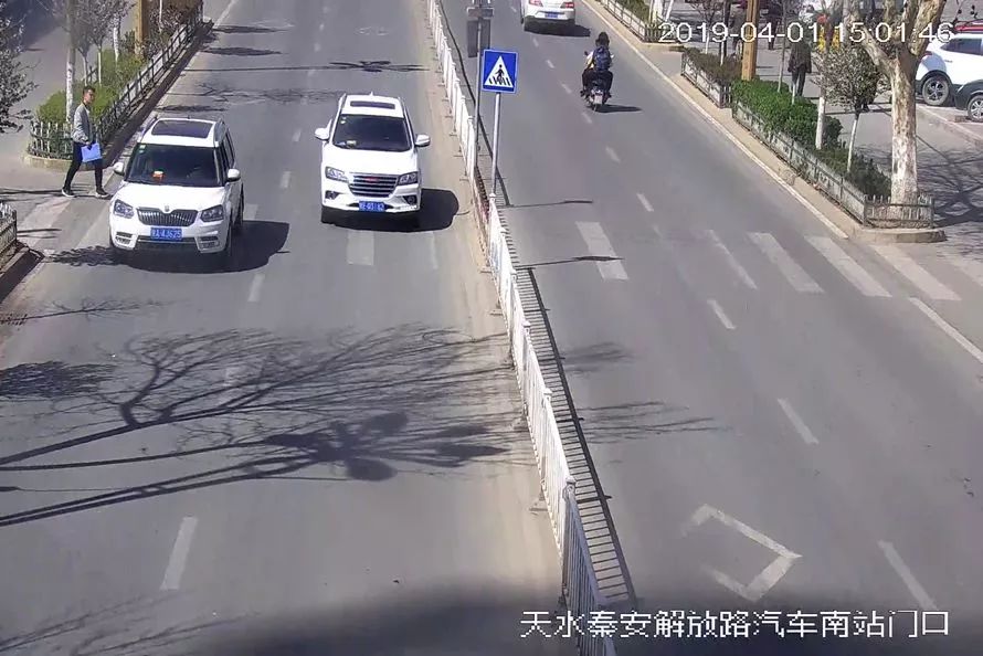 交通违法曝光台案例,交通违法曝光台