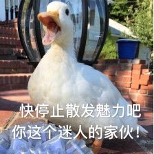 比香水还香的沐浴液,六款公认最好的沐浴露女士