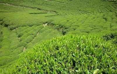 号外号外活动来袭,号外号外活动