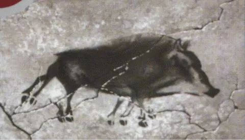 野猪的“世界史”,也是一部《权力的游戏》