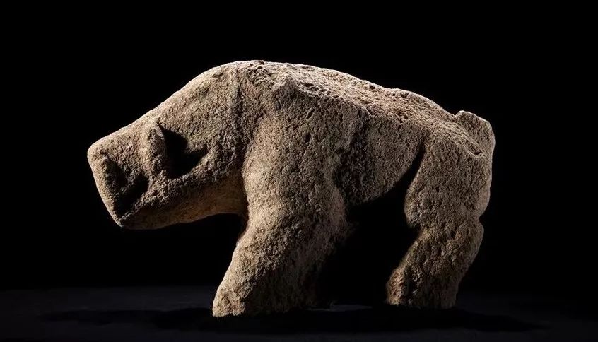 野猪的“世界史”,也是一部《权力的游戏》