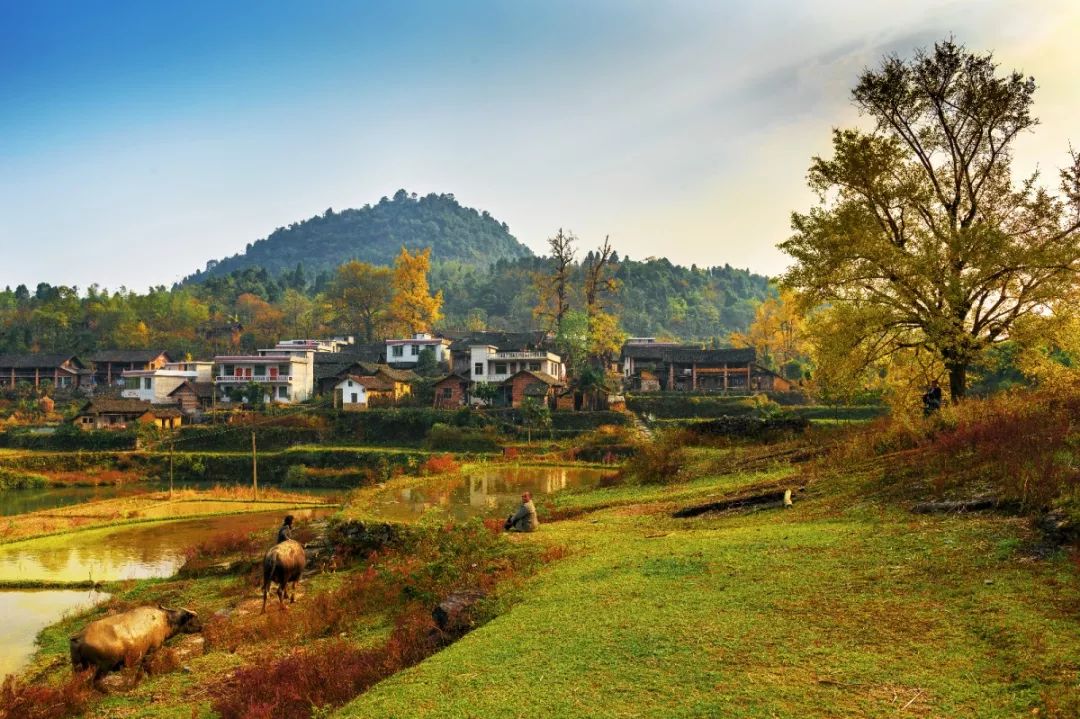 旅游地产新风口,旅游投资风口在哪里