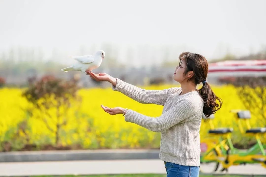 赏花采摘看马战，快来祥和庄园迎娶“春天”！