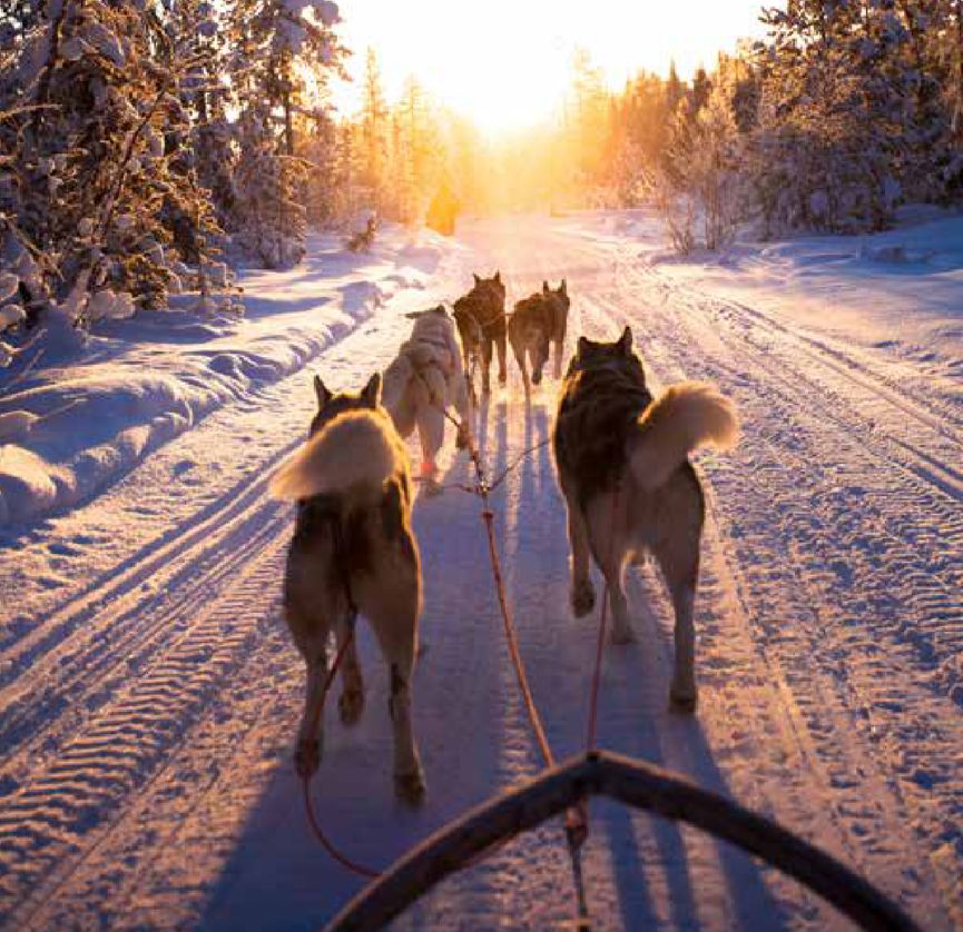 摆脱浑浑噩噩的生活,摆脱996知乎
