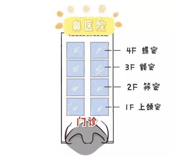 【健康】滴水湖有个医师，一开口就是鼻-鼻窦炎，他口吃吗？