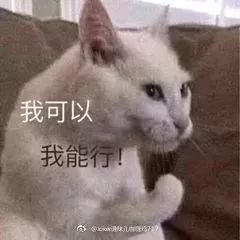 一周内奇闻趣事,一周趣事250字