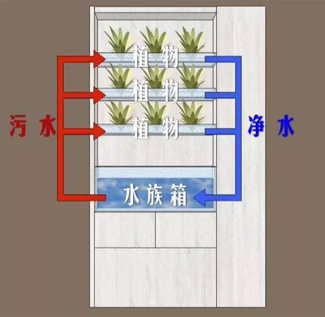 他用14天改造6口之家，只为给她一线生机！