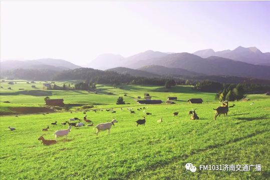 维秘模特的养颜秘方，1天1杯，美白养颜胜燕窝