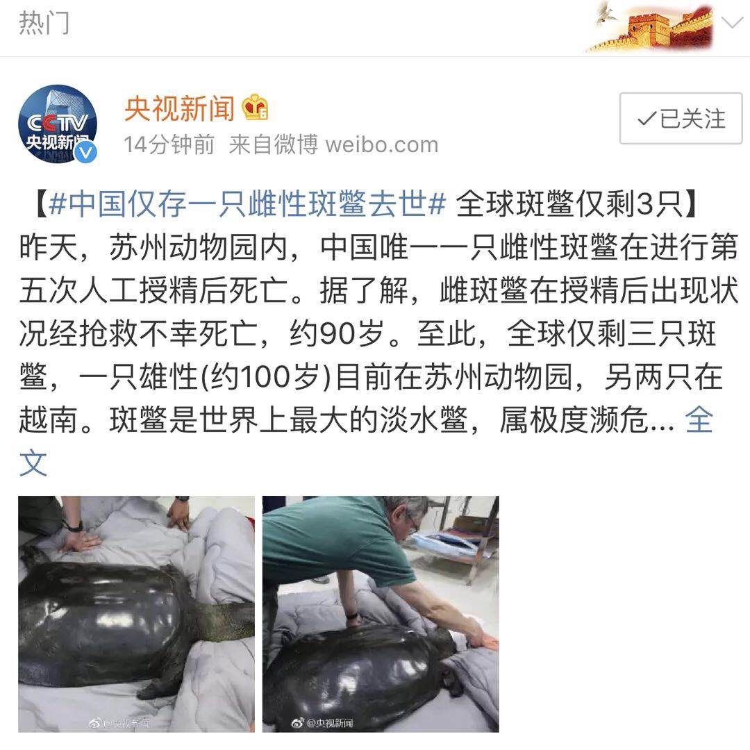 全球最孤寂的神兽,最孤独的三只神兽