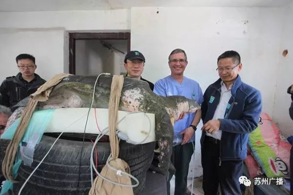 世界最孤独的中国神兽,全球十大孤独神兽