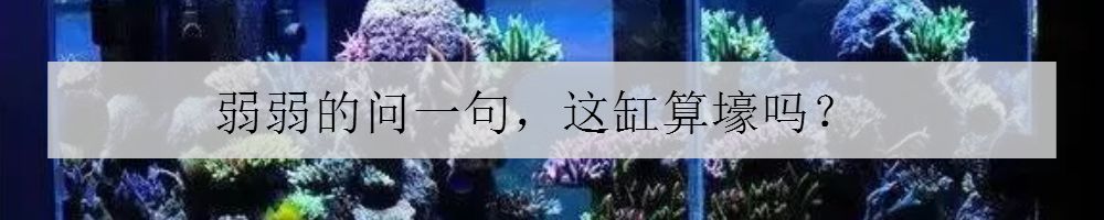 清洗鱼缸的好方法,下滤鱼缸主缸多久清洗