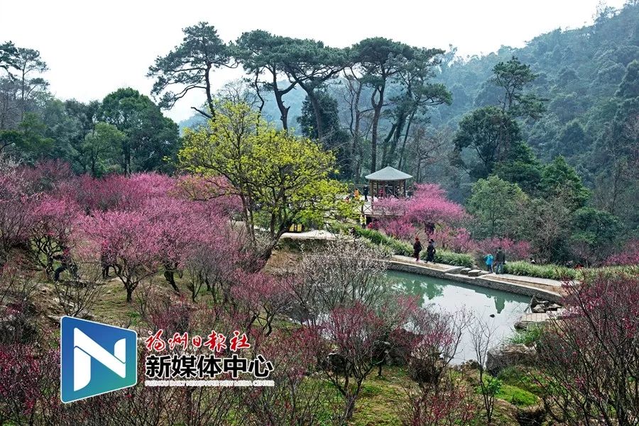 福州地铁4号线沿途美景美食,福州地铁4号线美食打卡