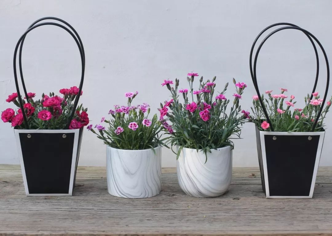 搴蜂箖棣╨ove,搴蜂箖棣╨ove缁勫悎