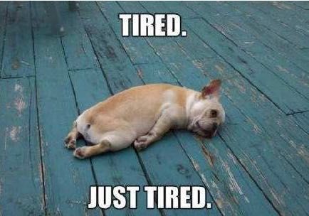 如何打造一个舒适的家,140北欧风3室2厅打造绿意舒适的家