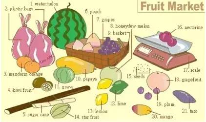 英语听力场景词汇大汇总，高一、高二、高三均适用！