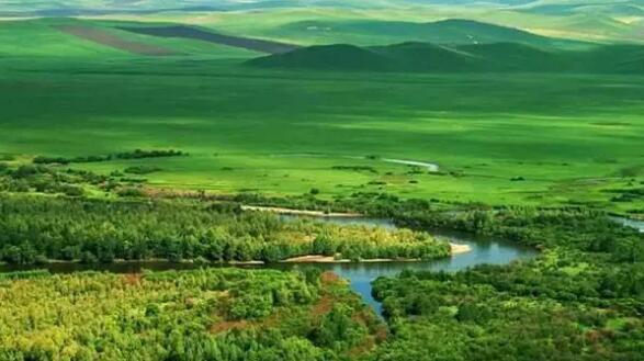 牛原本个人资料,内蒙古主要有哪几种牛