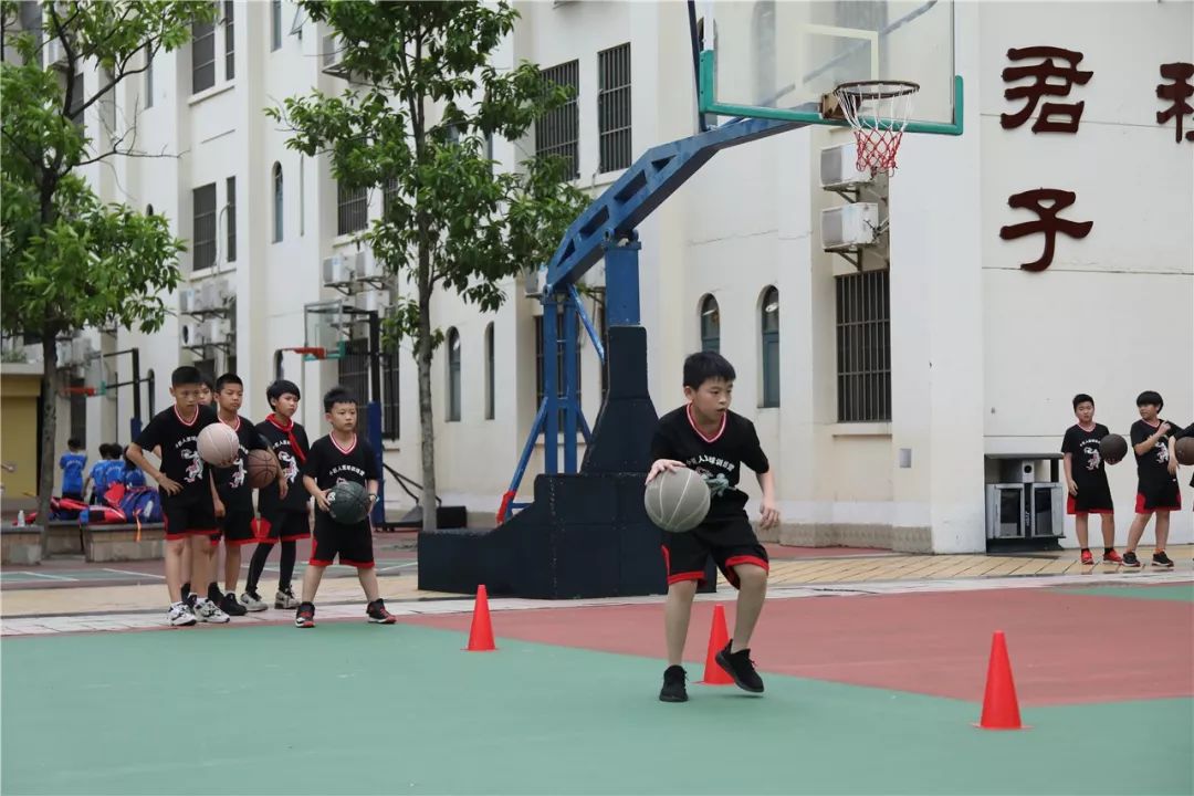 一众教育大腕亮相里水！恒大小学君子教育将在全南海推广！