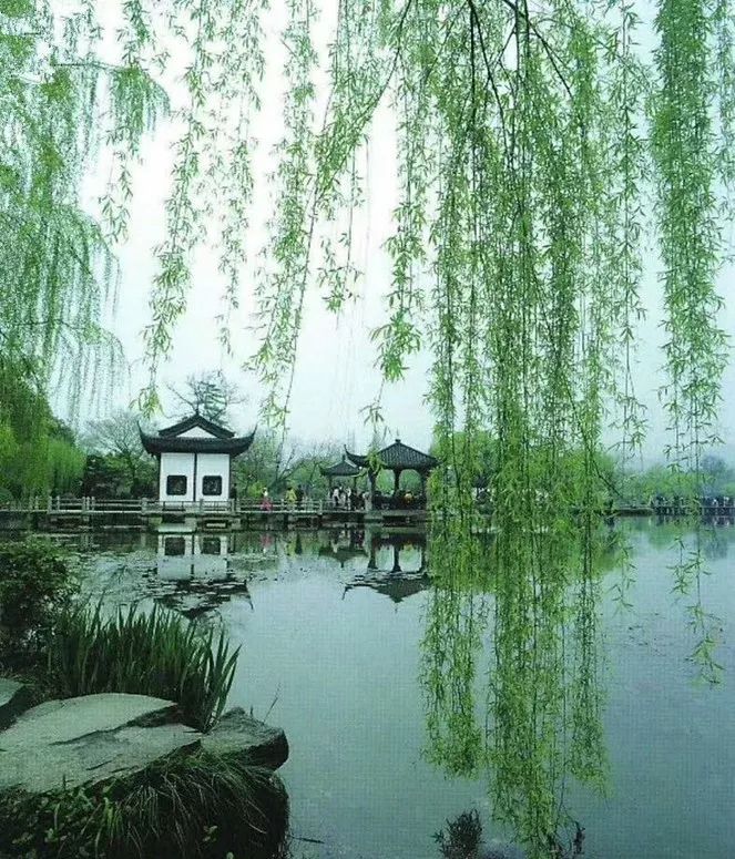 古诗词望江南宋代,古诗望江南作者苏轼