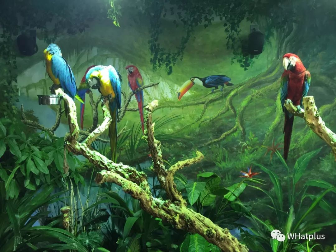 亲子嘉年华上海,亲子户外嘉年华