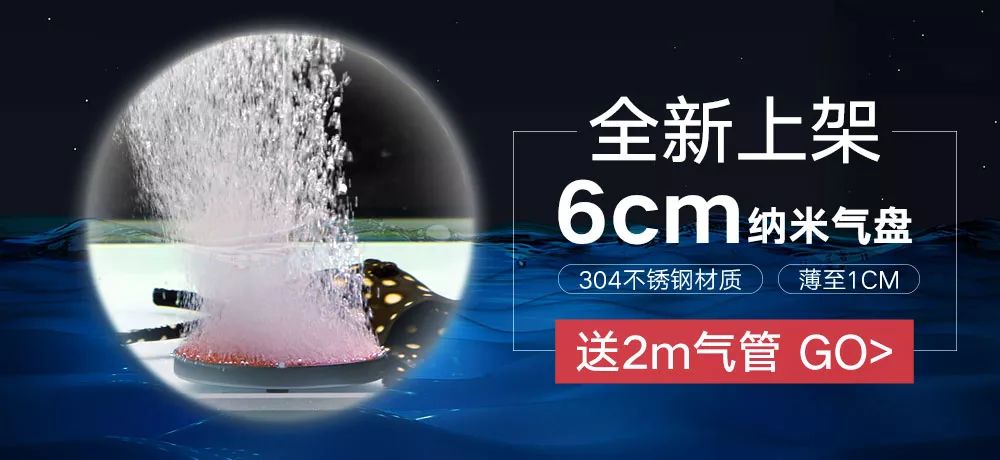 缸里面的底砂到底是什么,高手揭秘必须知道的技巧