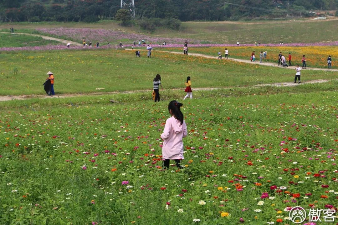 厦门海沧必去的美食店,厦门海沧地道美食