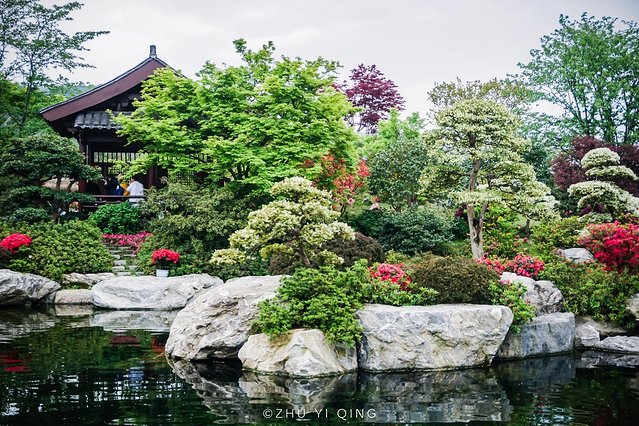 无锡赏花一日游,无锡春日樱花旅游攻略
