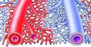 广医二院血管外科在几楼,广医二院血管科