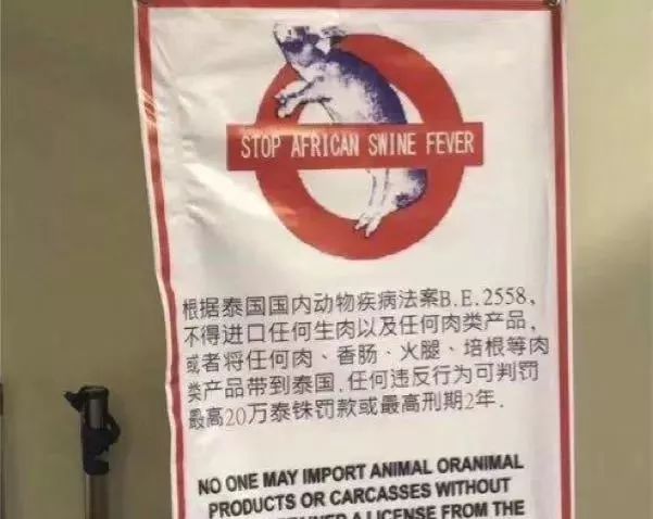 过海关女子被判死刑,女子过海关被发现有违禁品