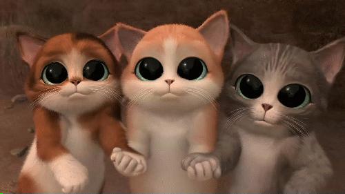 东莞还没考驾照的爽了！首个全科目一体化考场开建