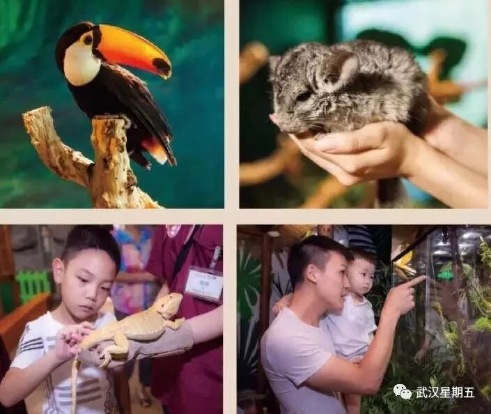 100个亲子互动游乐项目,100多平米的亲子游乐场